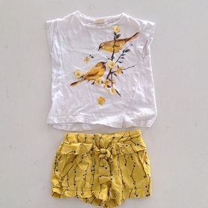 Size 3/4 Zara girls outfit